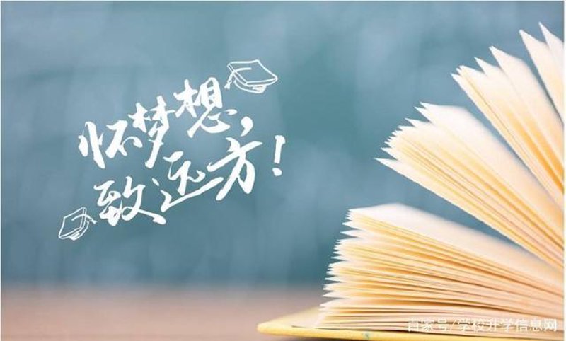 深圳教育公司的行业动态解析